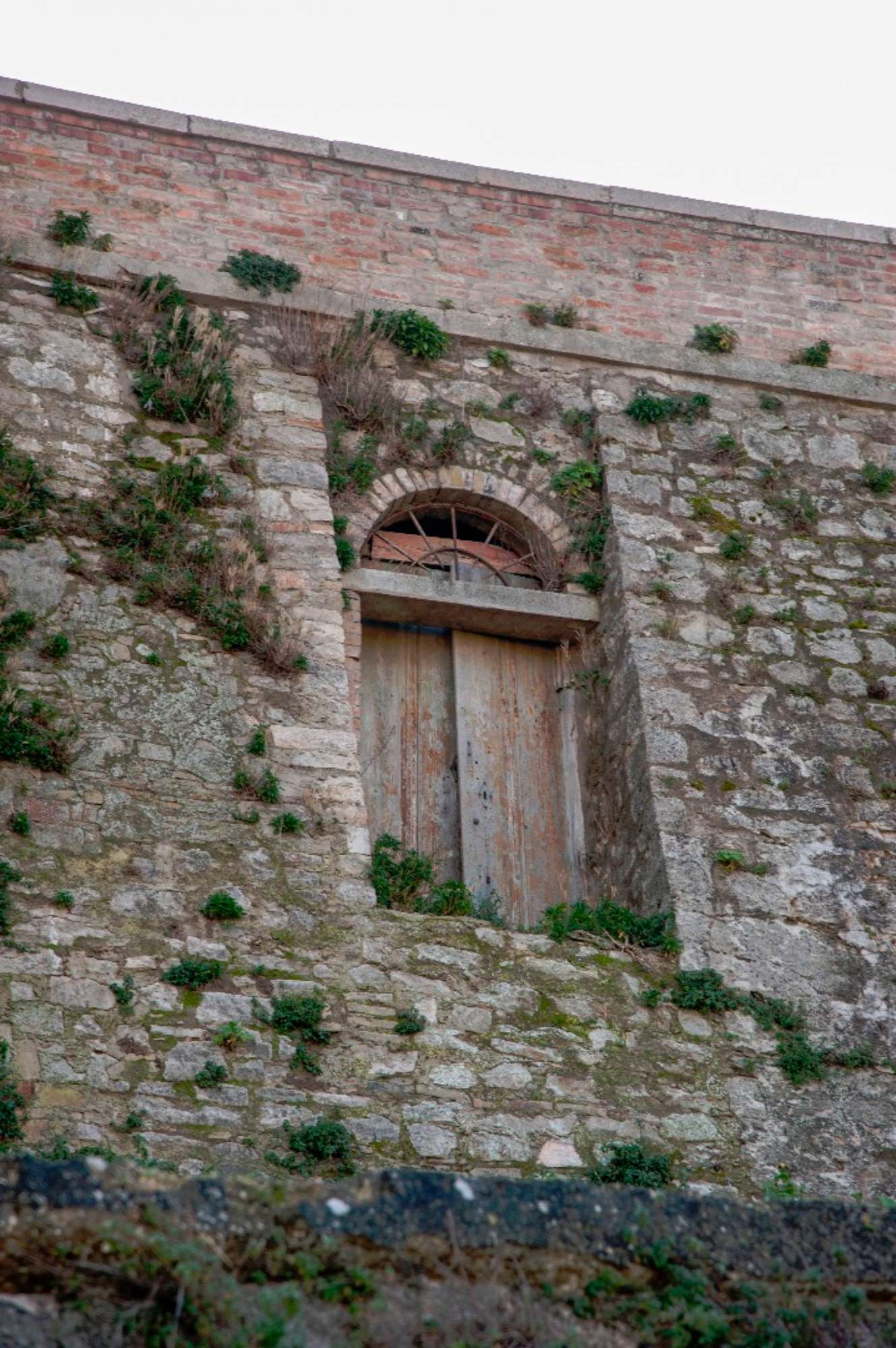 Particolare